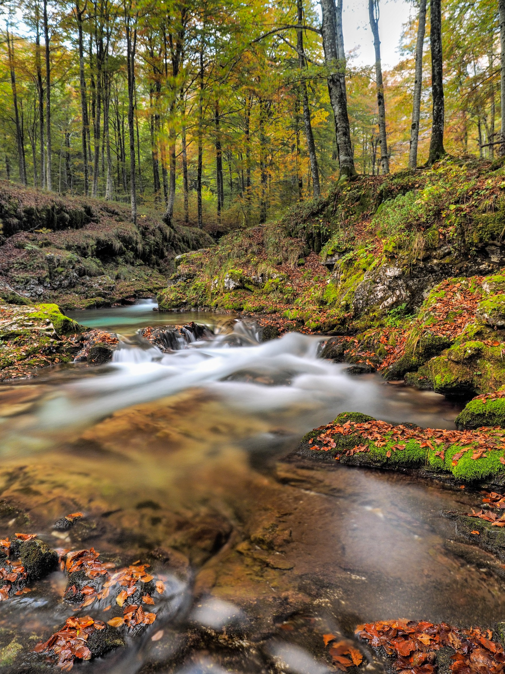 Arzino Waterfalls-Autumn