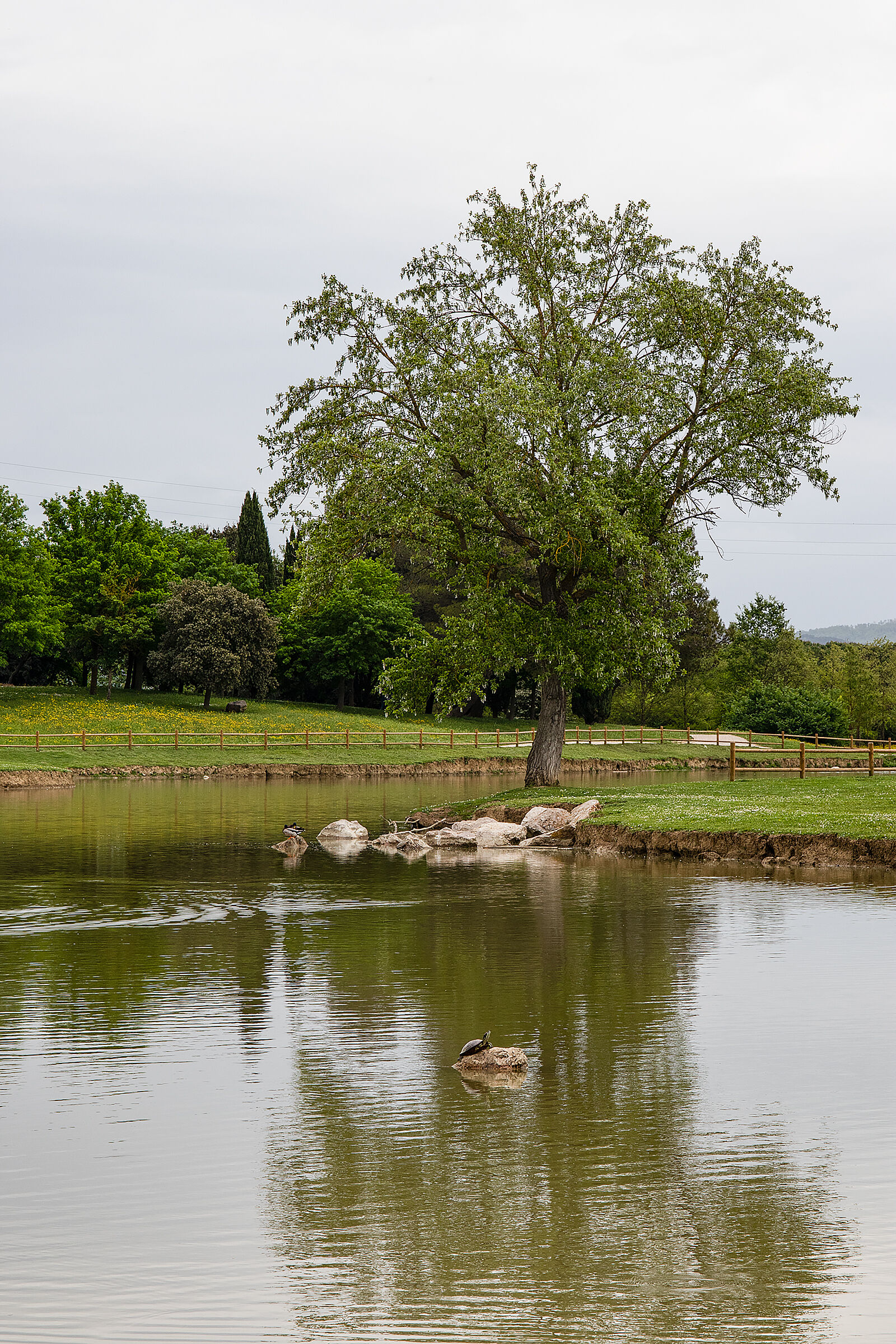 Una nuvolosa mattinata di primavera