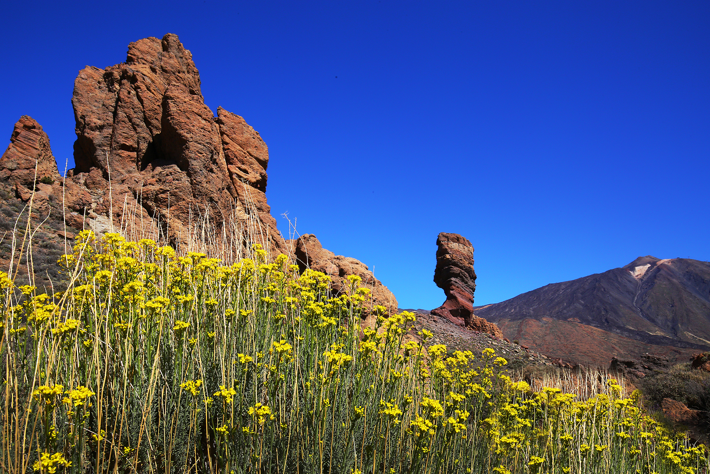 Tenerife (Spagna)