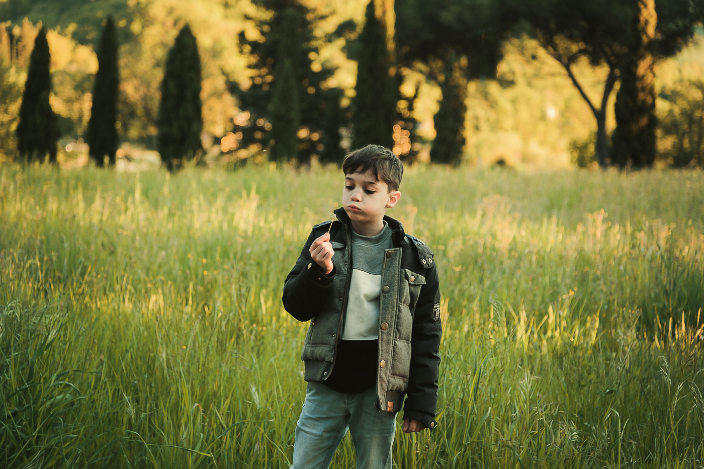 Gioie in Val d'Orcia
