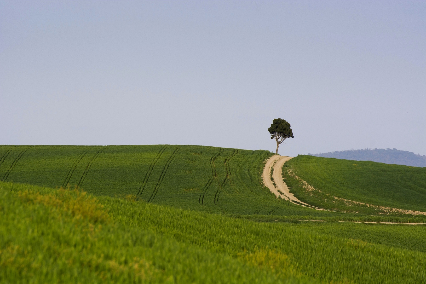 The Lonely of Crete