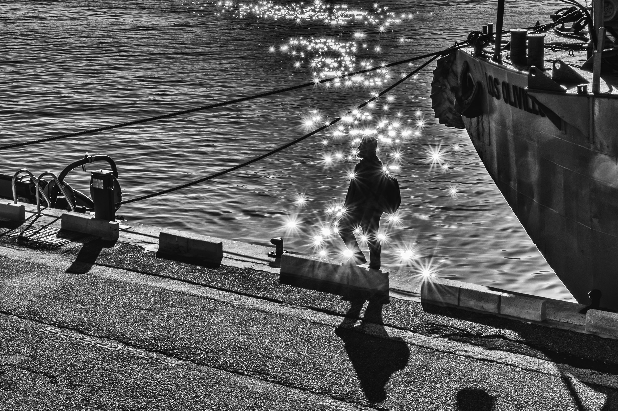 Scintillii di mare