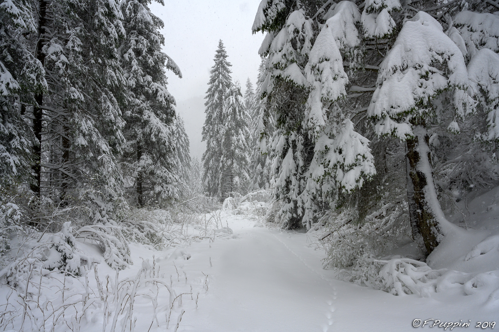 Late Snow 10-eel Vajo