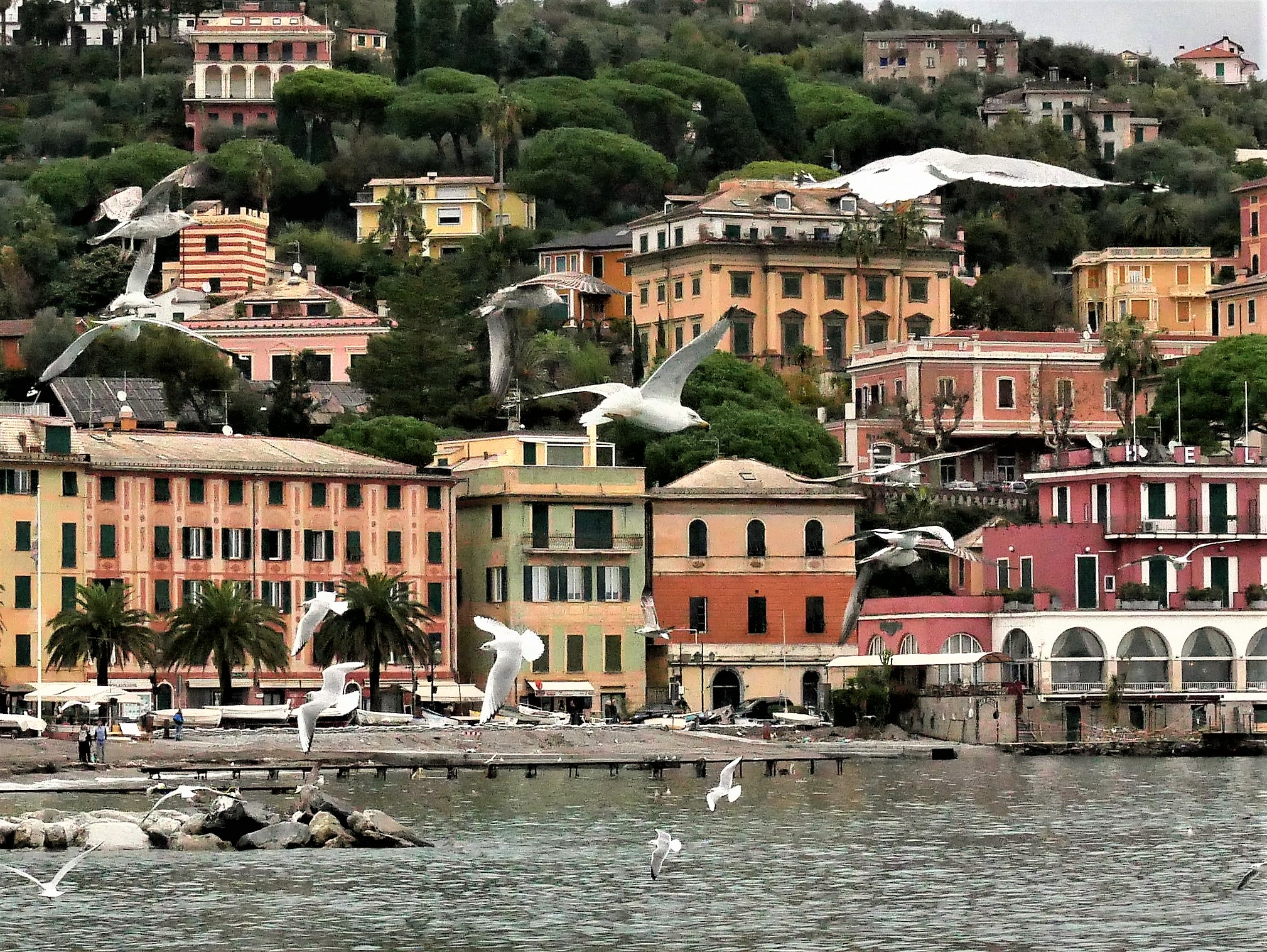 Santa Margherita Ligure