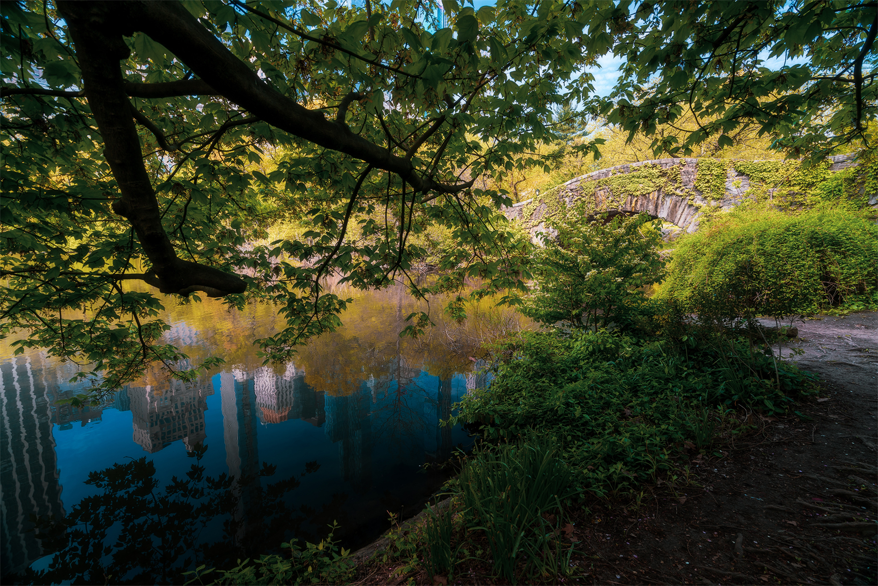 Reflections in Central Park