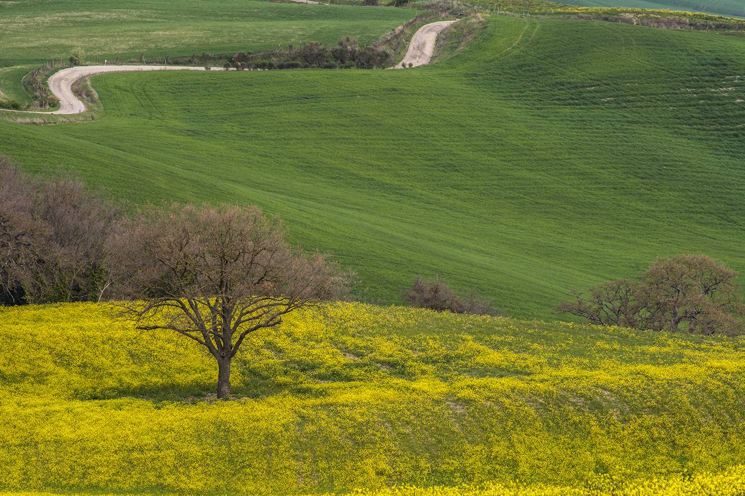 Val d'Orcia.