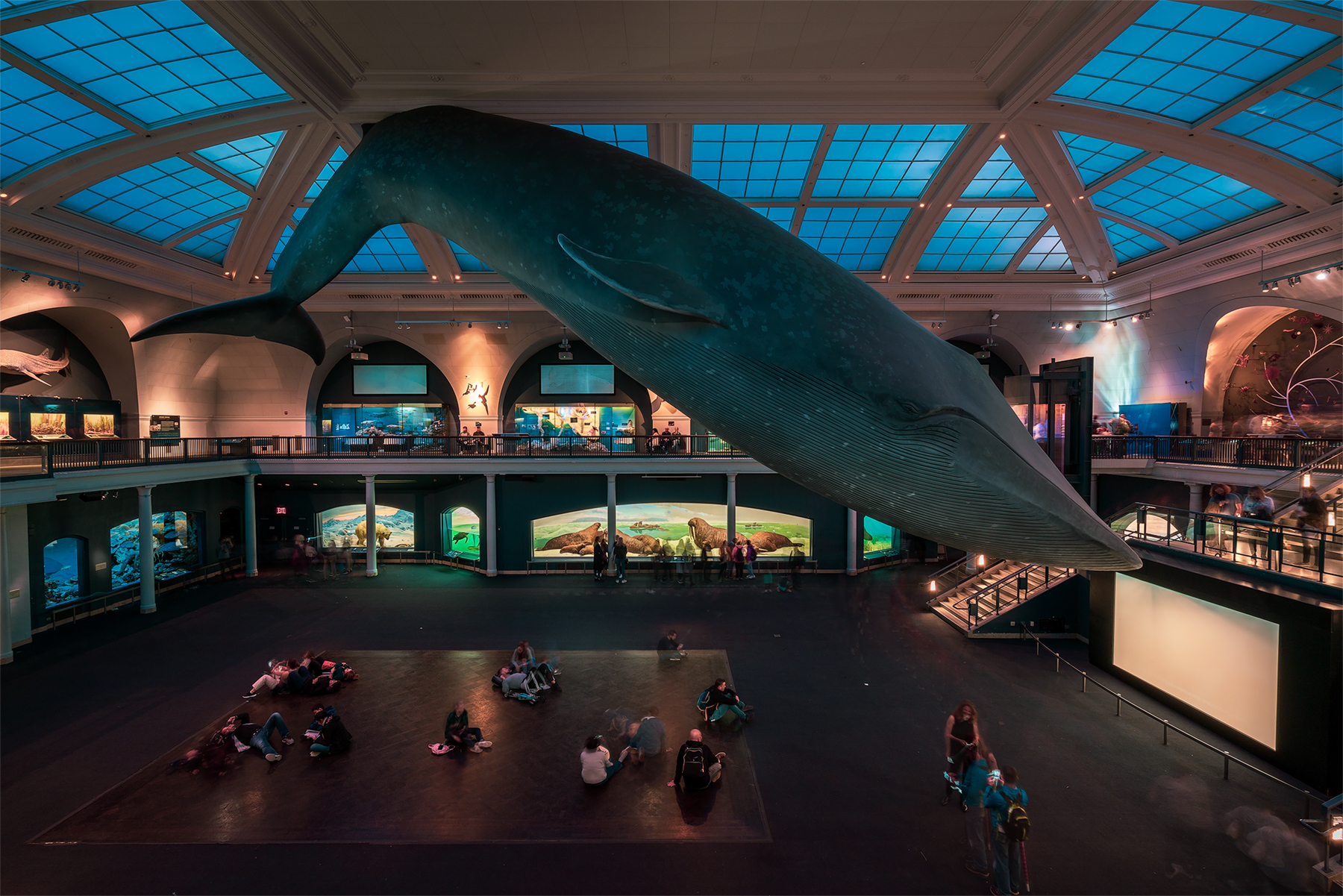 Museum of Natural History