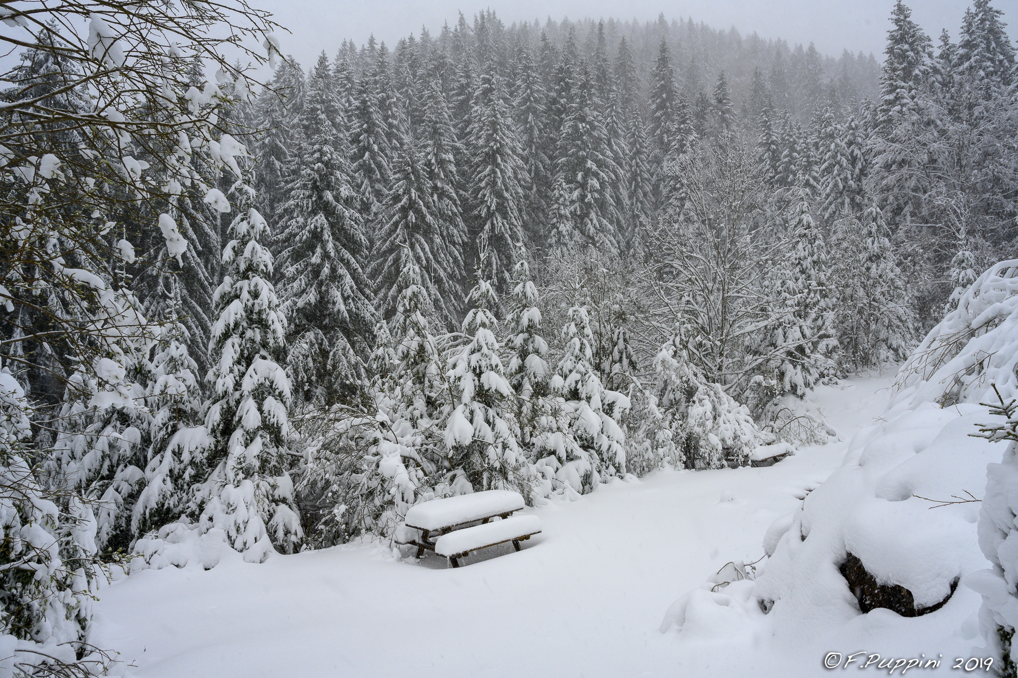 Neve tardiva 17 - vajo dell'Anguilla