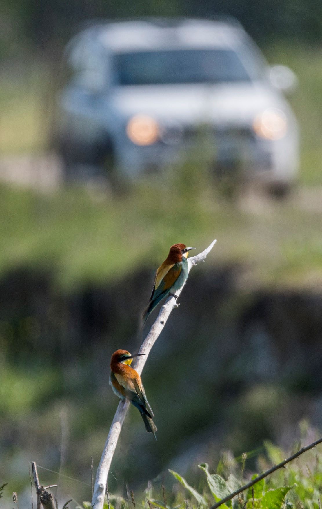 Umani in avvicinamento