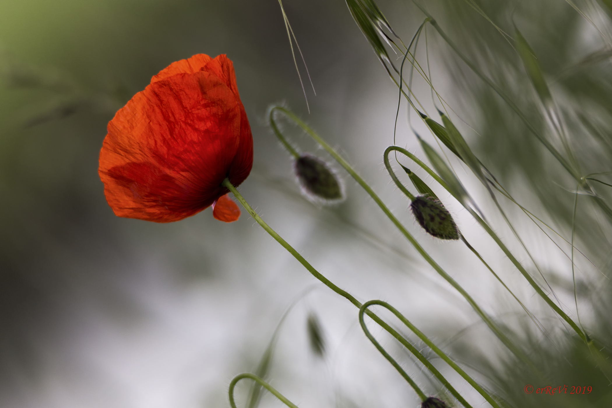 Lonely for a little...