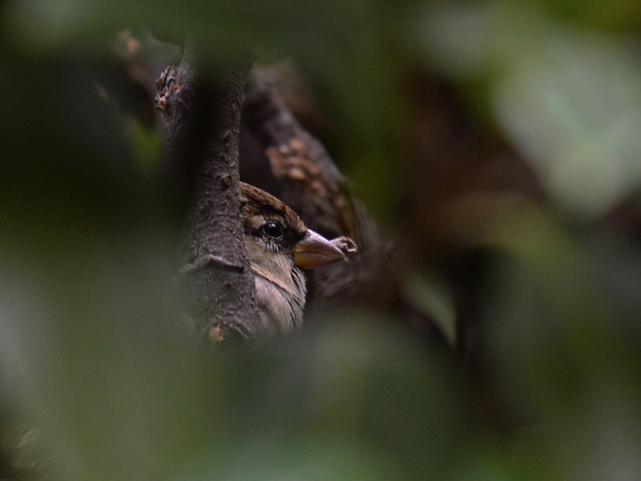 Questa è casa mia....