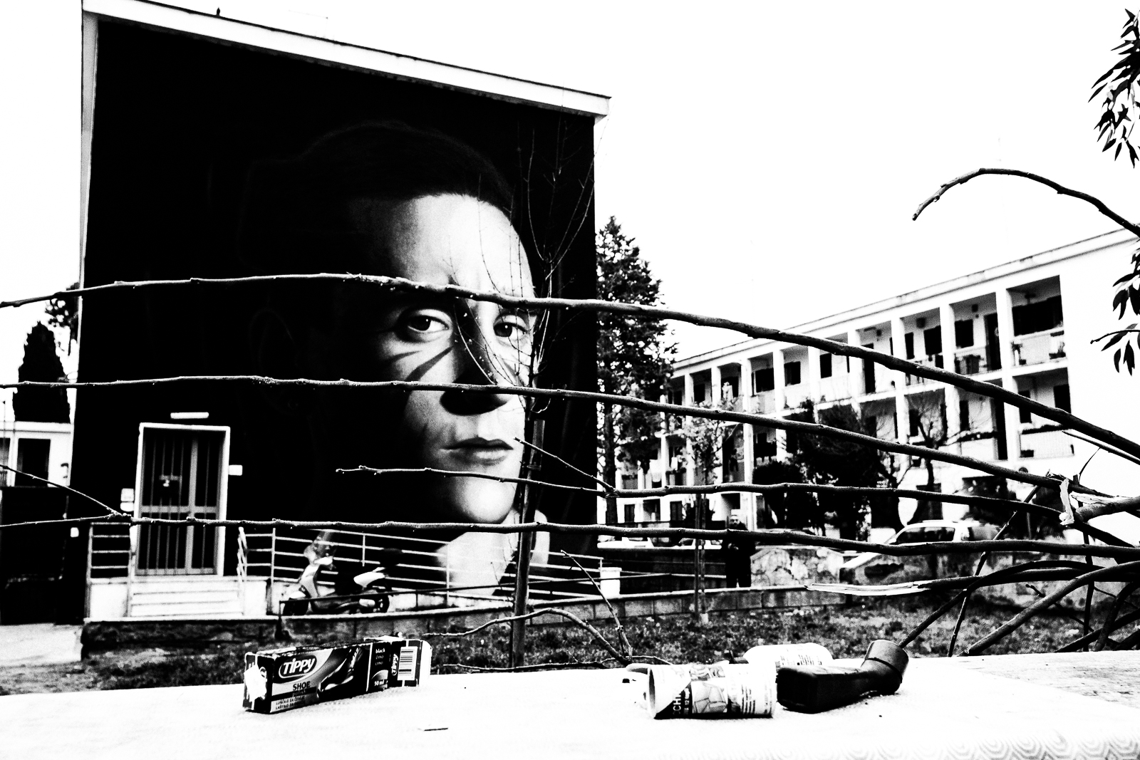 Il Campione