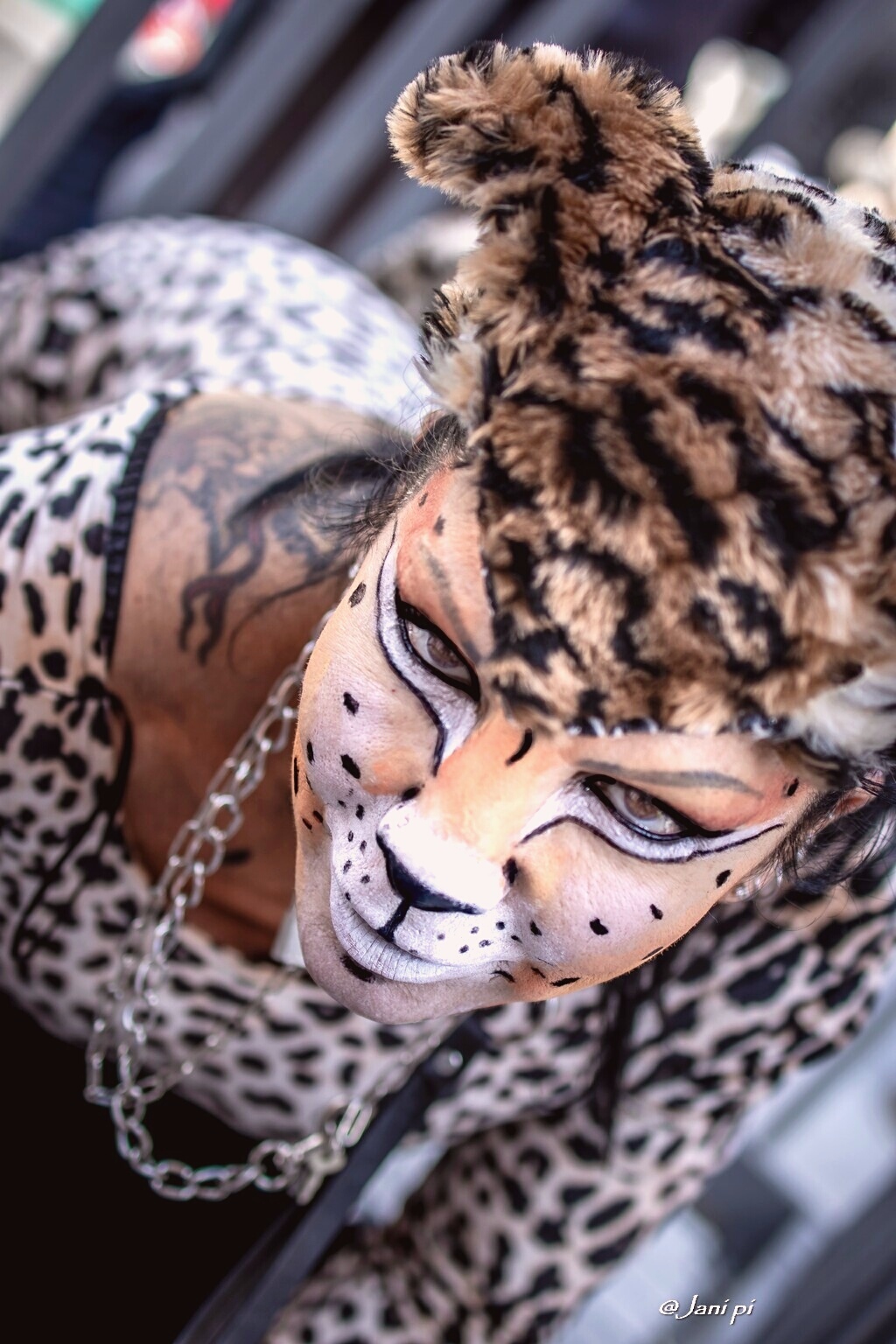 The Cheetahs #magico_19