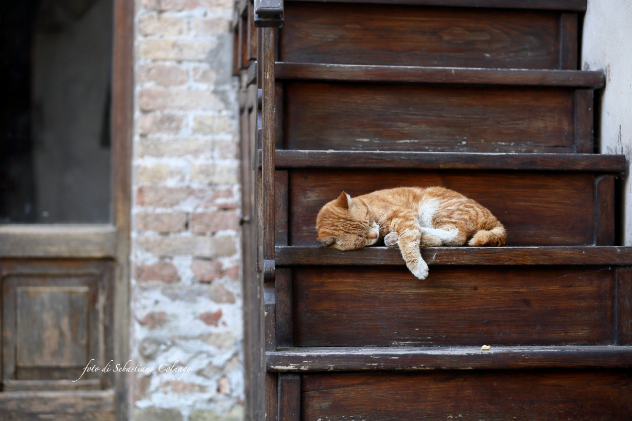 Sleepiness Post Lunch