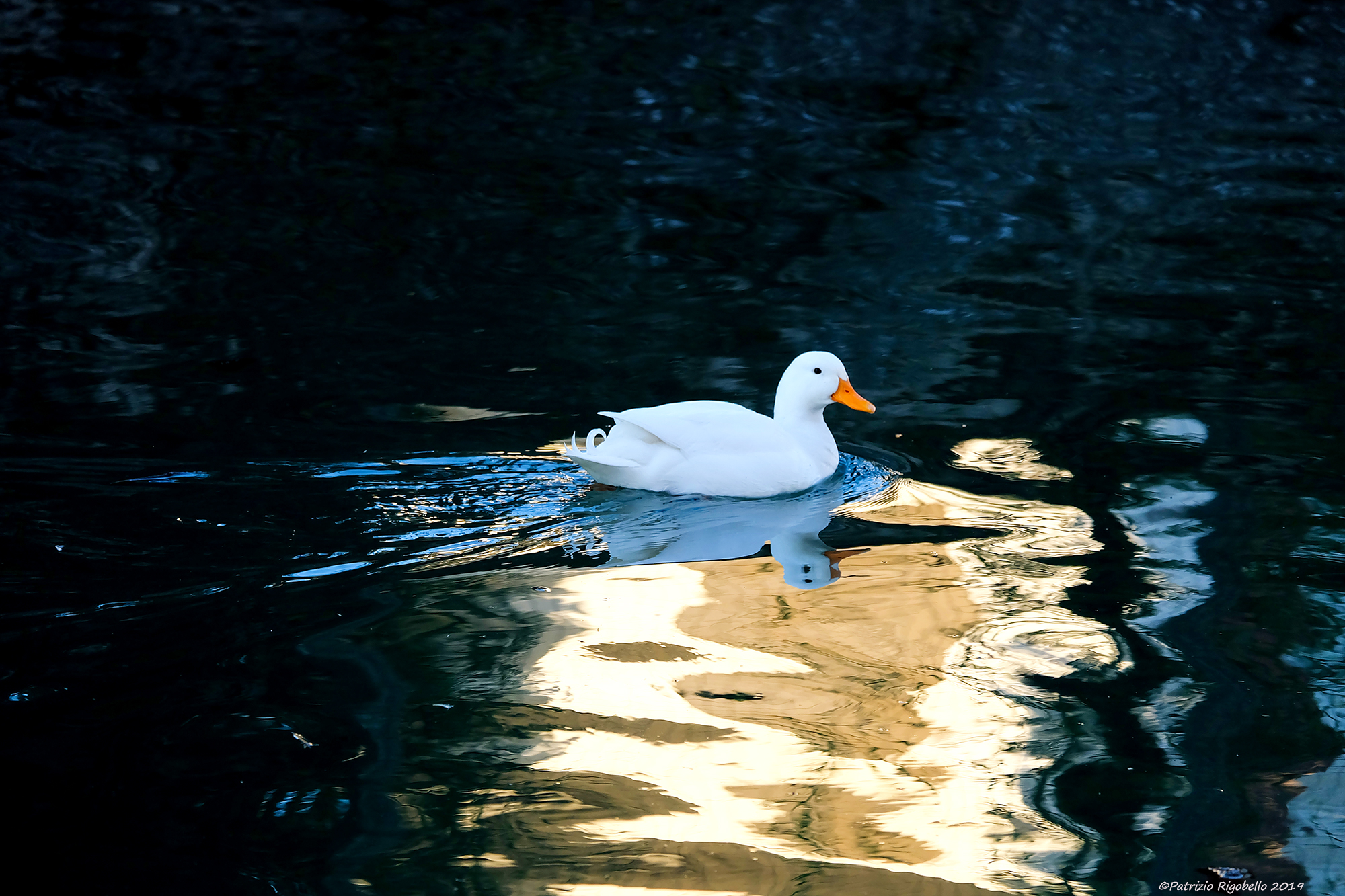 L'ultimo raggio di sole