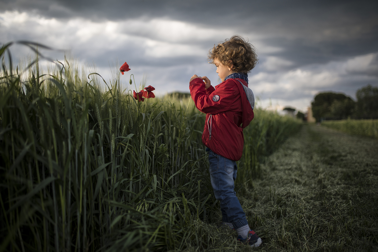 The Hunters of Poppies