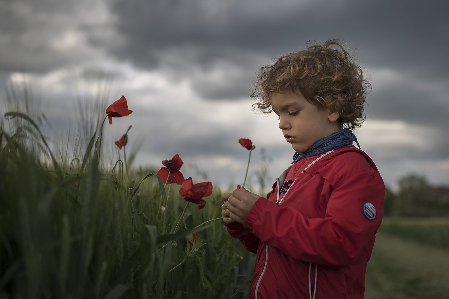 The Poppies Hunter