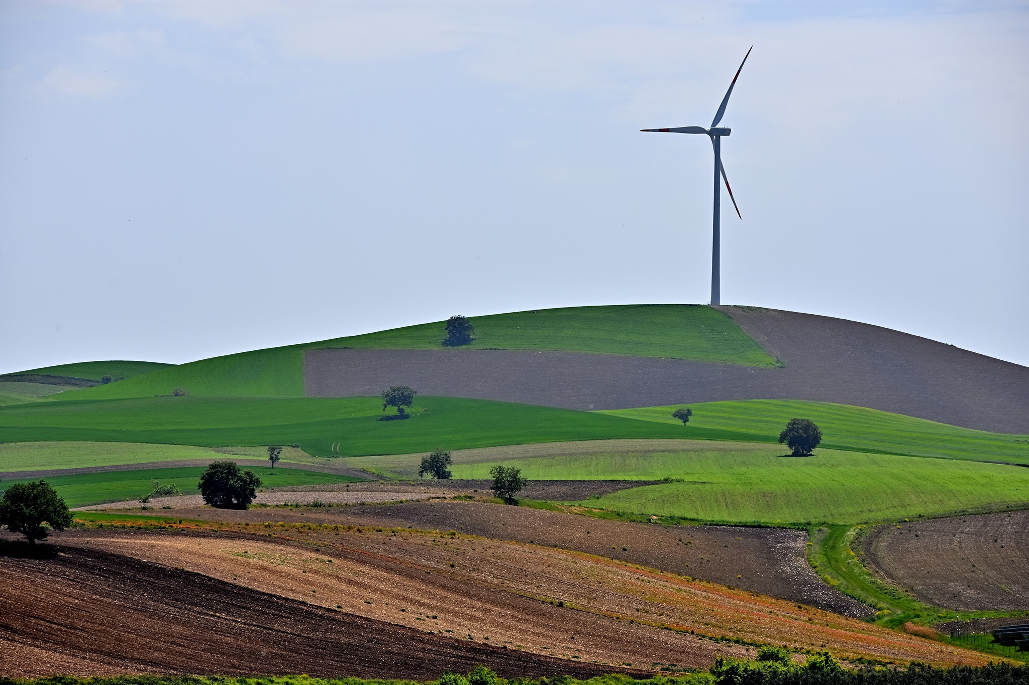 There is something that Stona