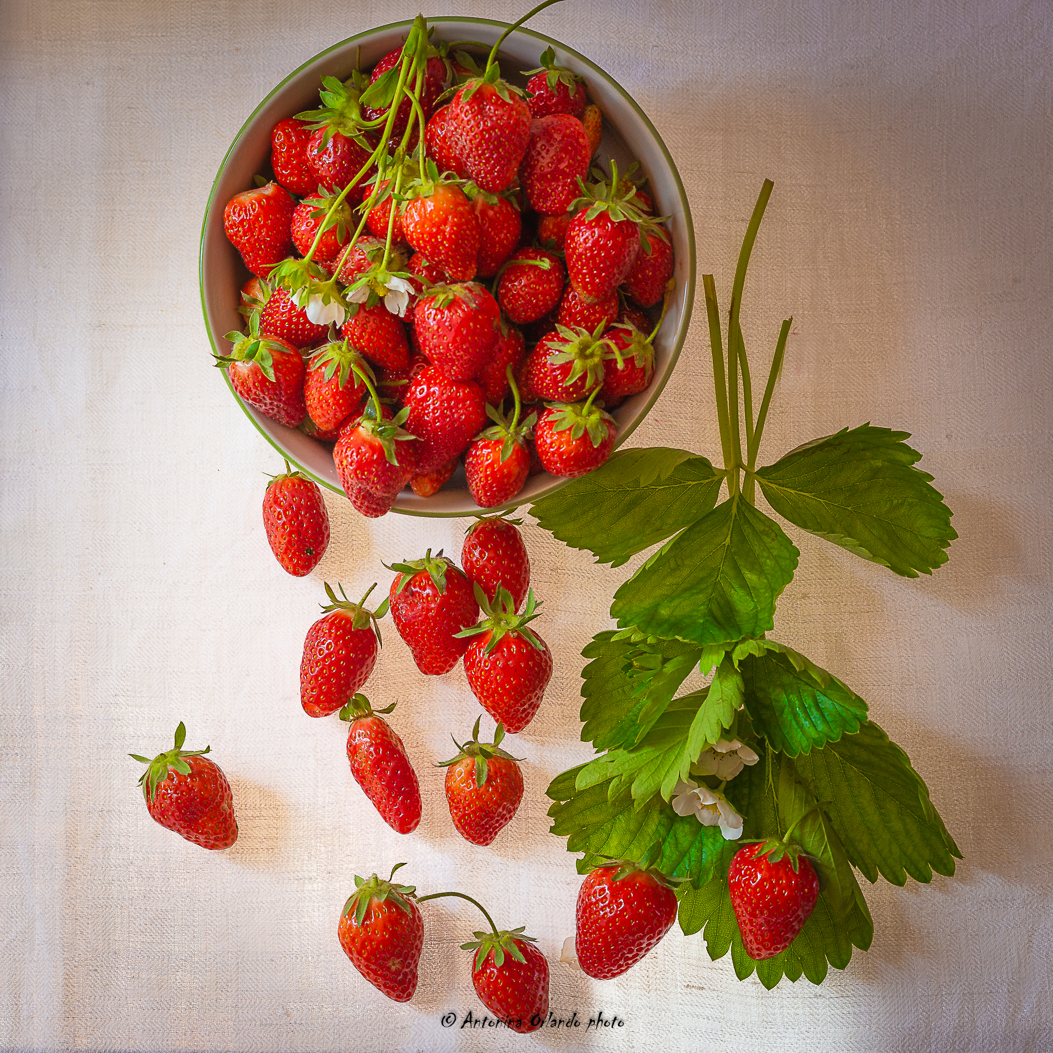 Long live strawberries!!!