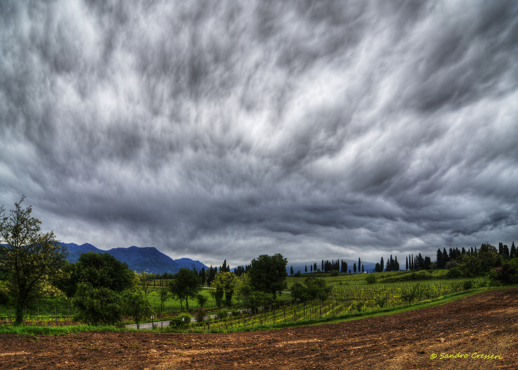 ... It doesn't promise bulla any good...