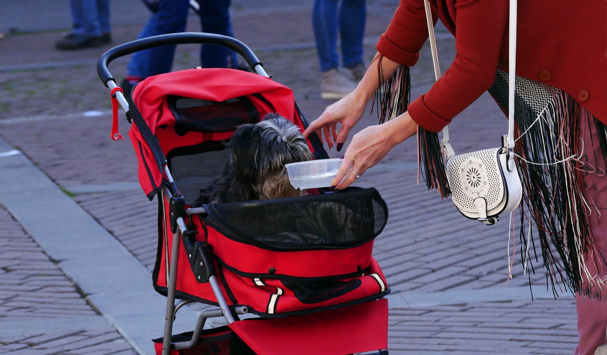 GIVE A DRINK TO THE THIRSTY..