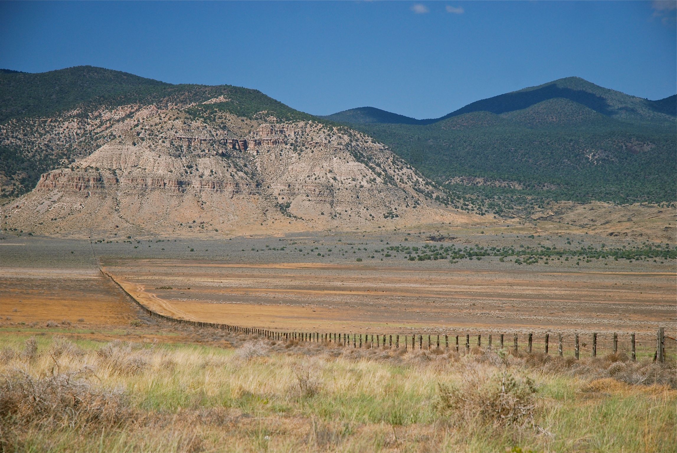 Sulla strada per Toroweap Grand Canyon (usa)