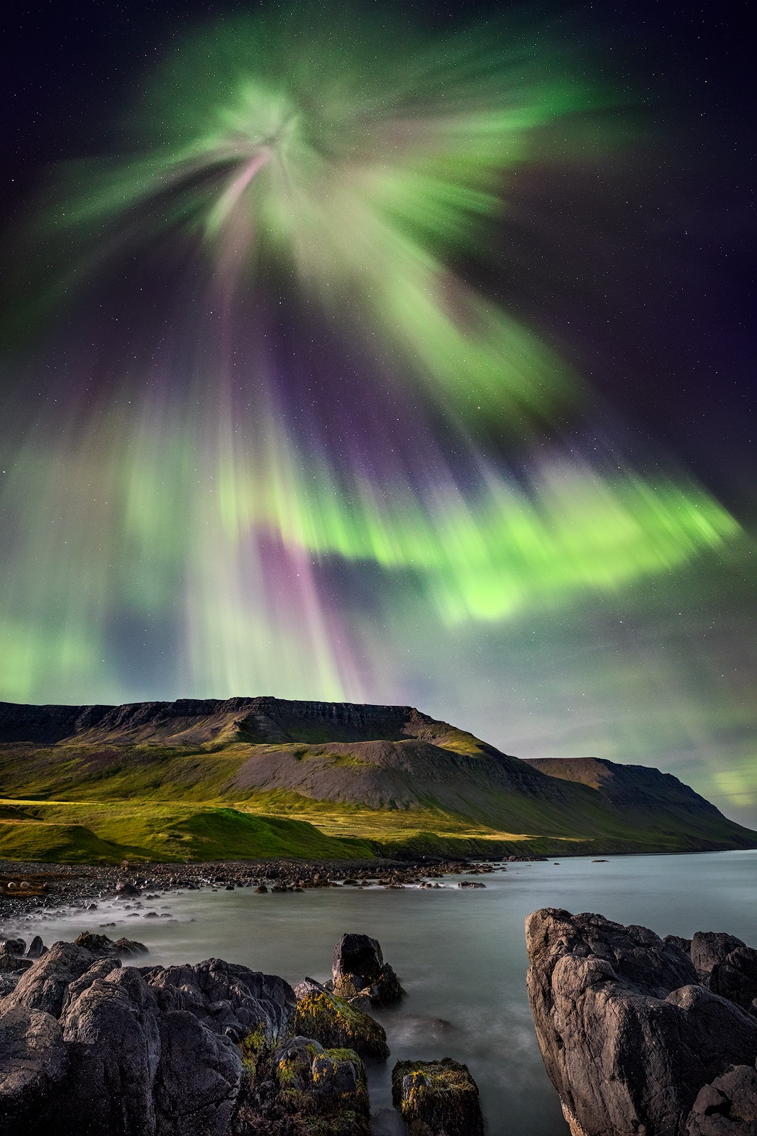 Firebird of the Arctic