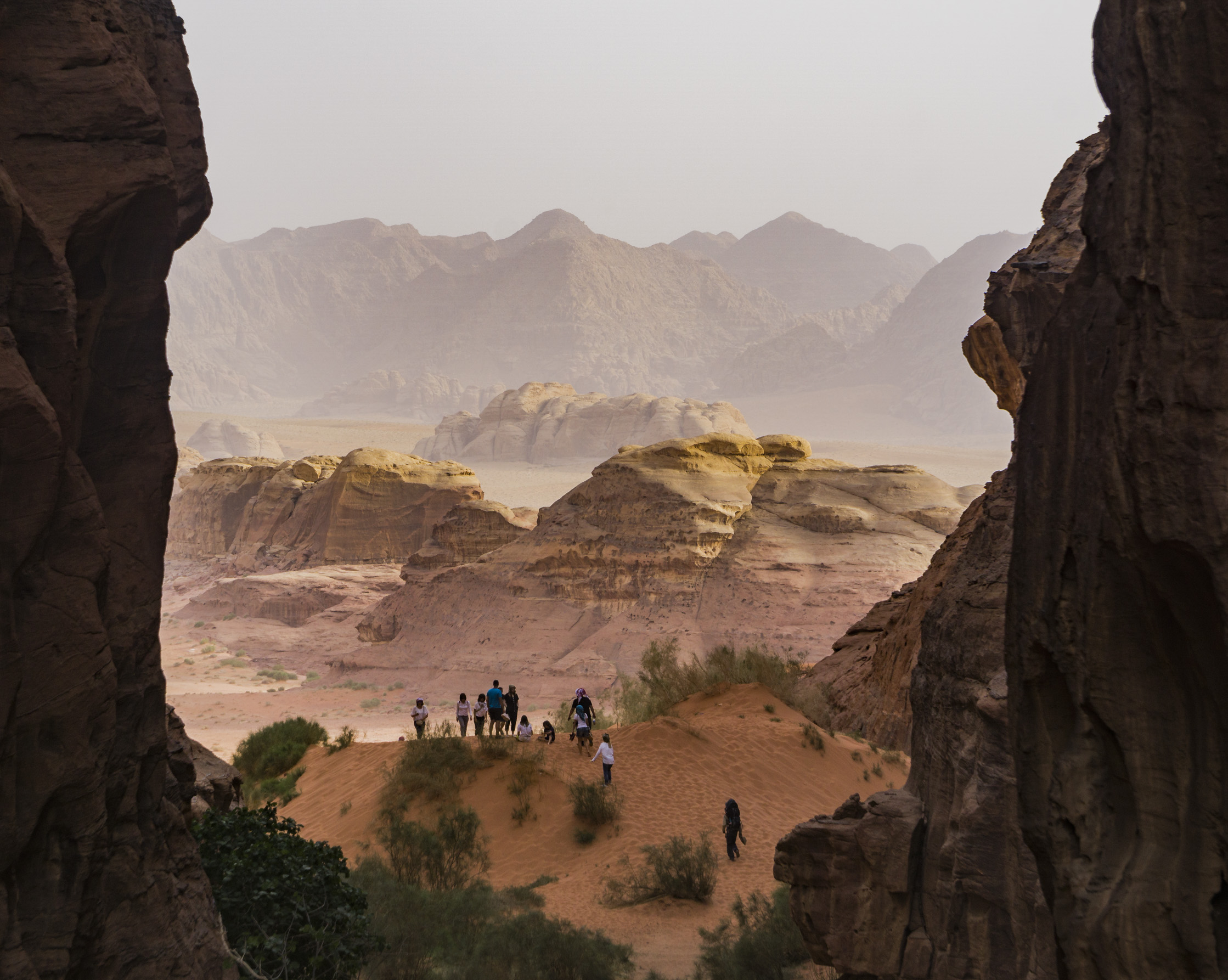 Window on the desert
