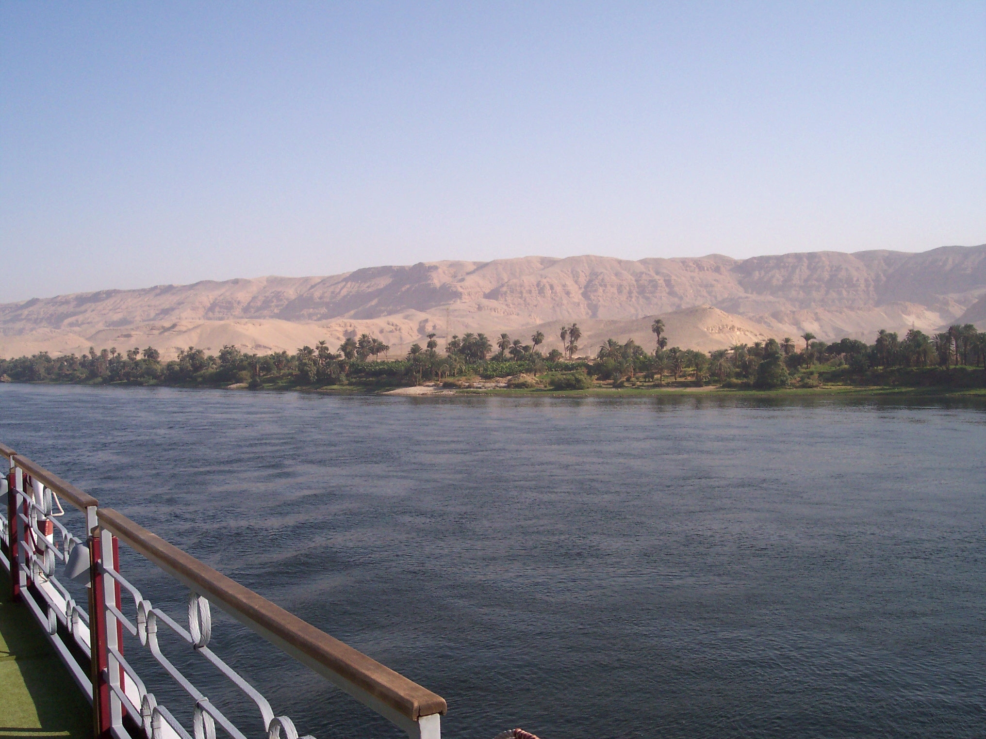 Cultivation of dates along the Nile