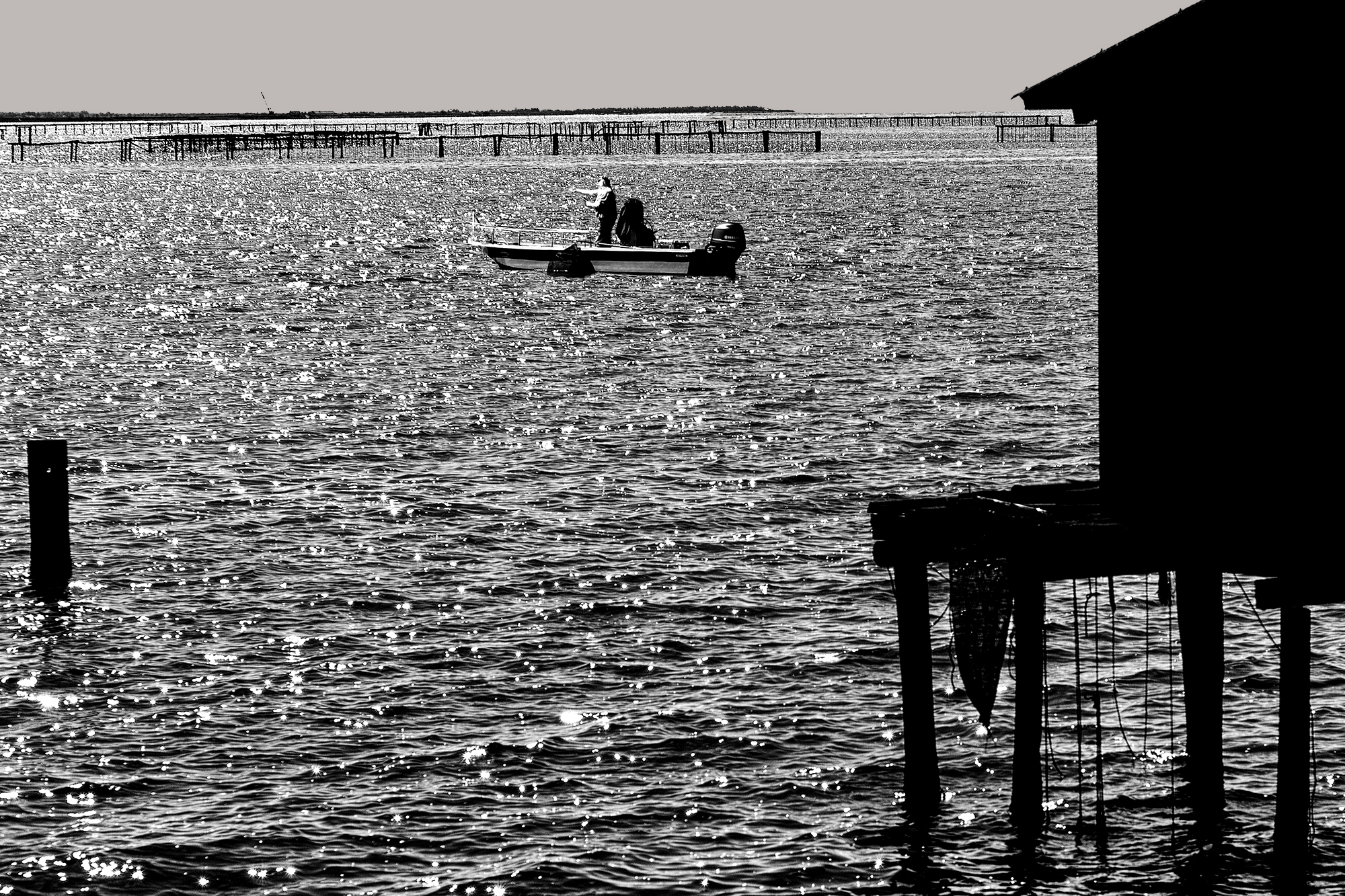 Bag of the Scardovari