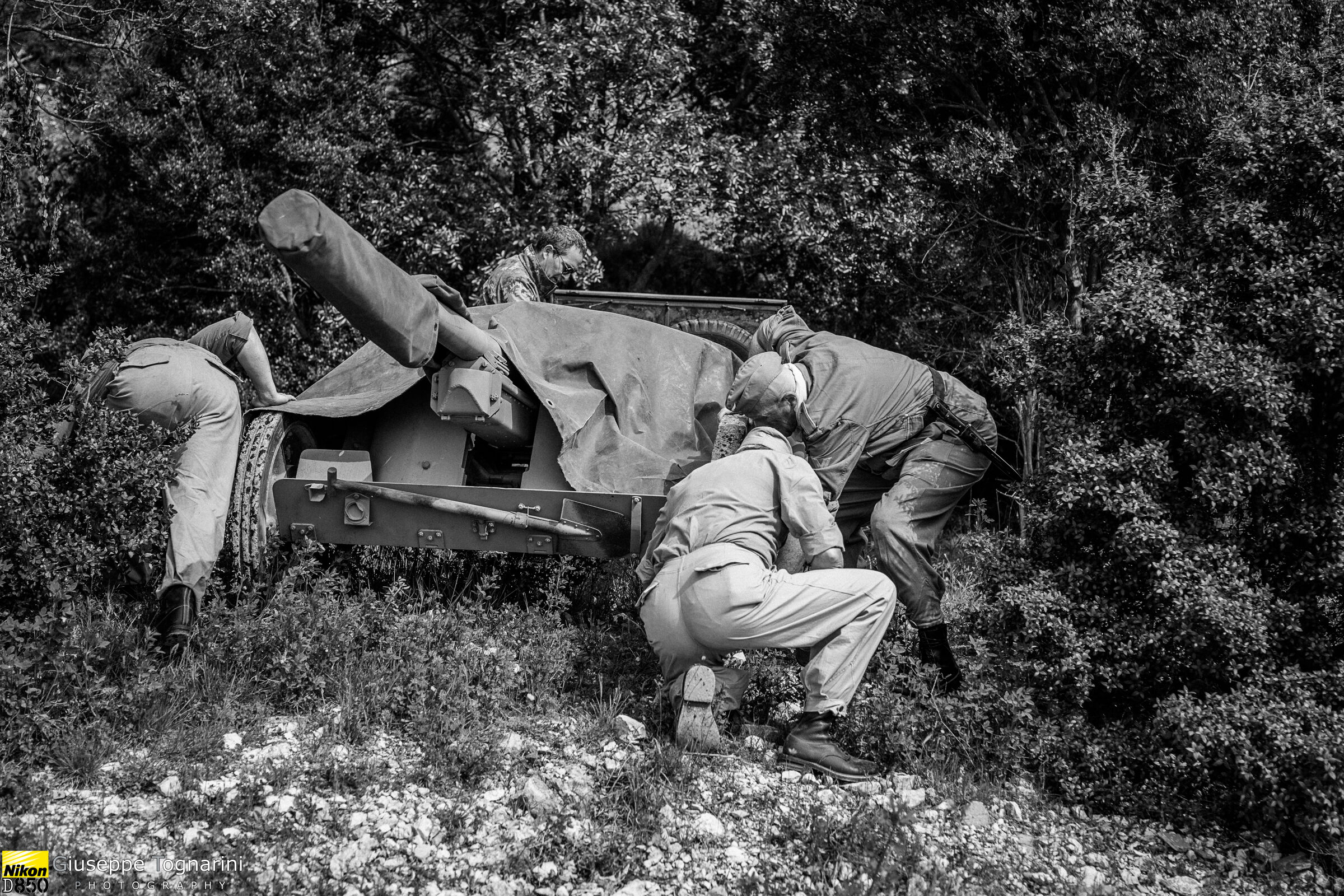 Camouflage of the "mouths of Fire"