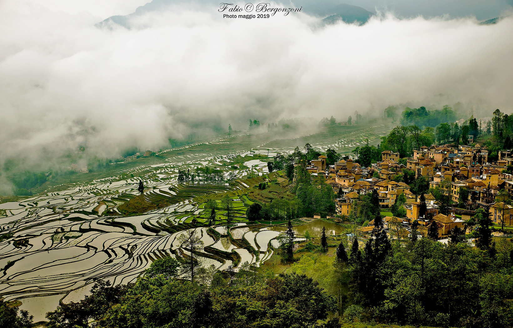 The fog to the bristling....