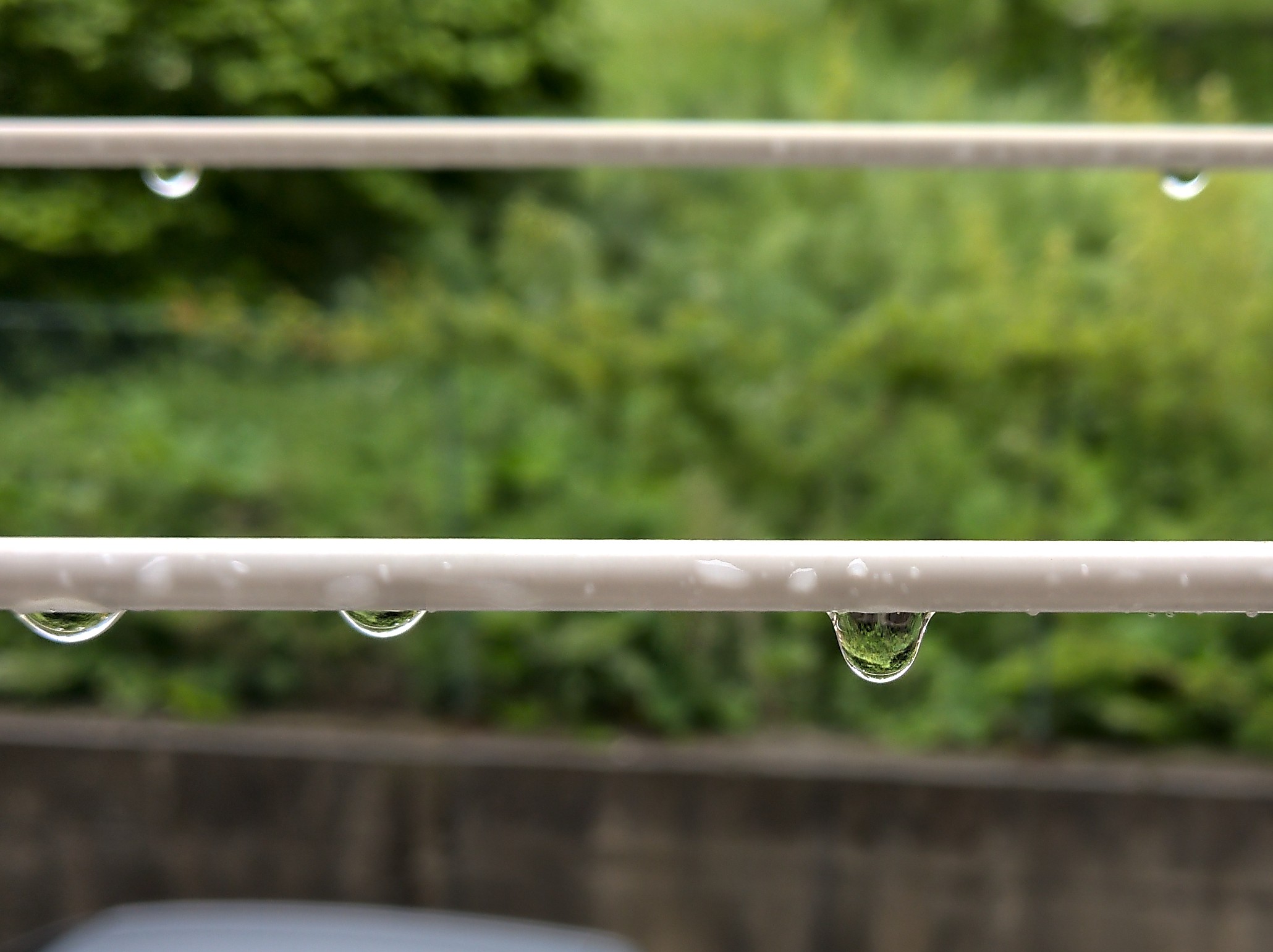 Nokia 9 pureview test profondità di campo boheh