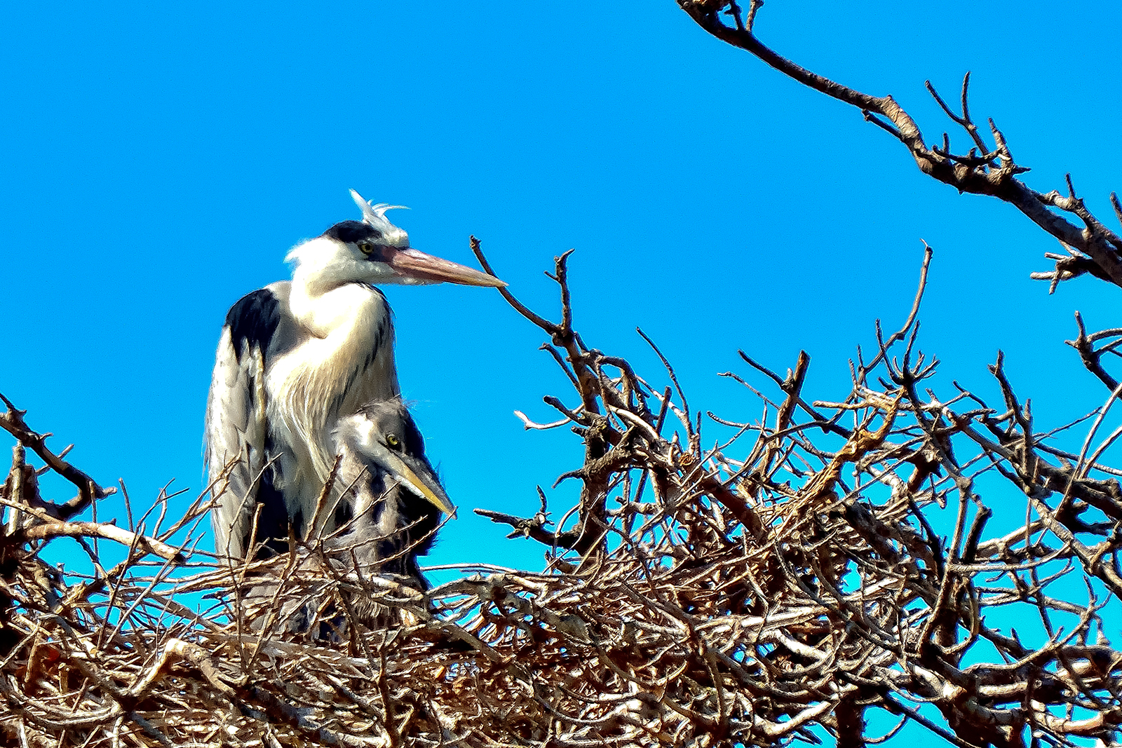 Ritratto di Famiglia 2