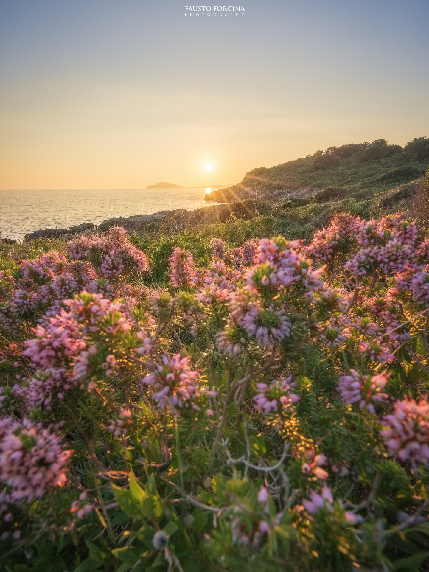 Tramonto tra le eriche