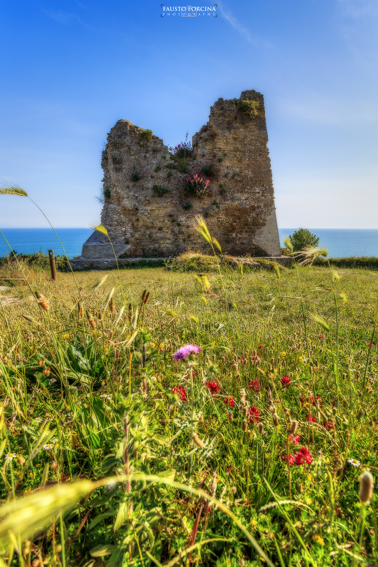Torre di Scauri e i fiori di campo