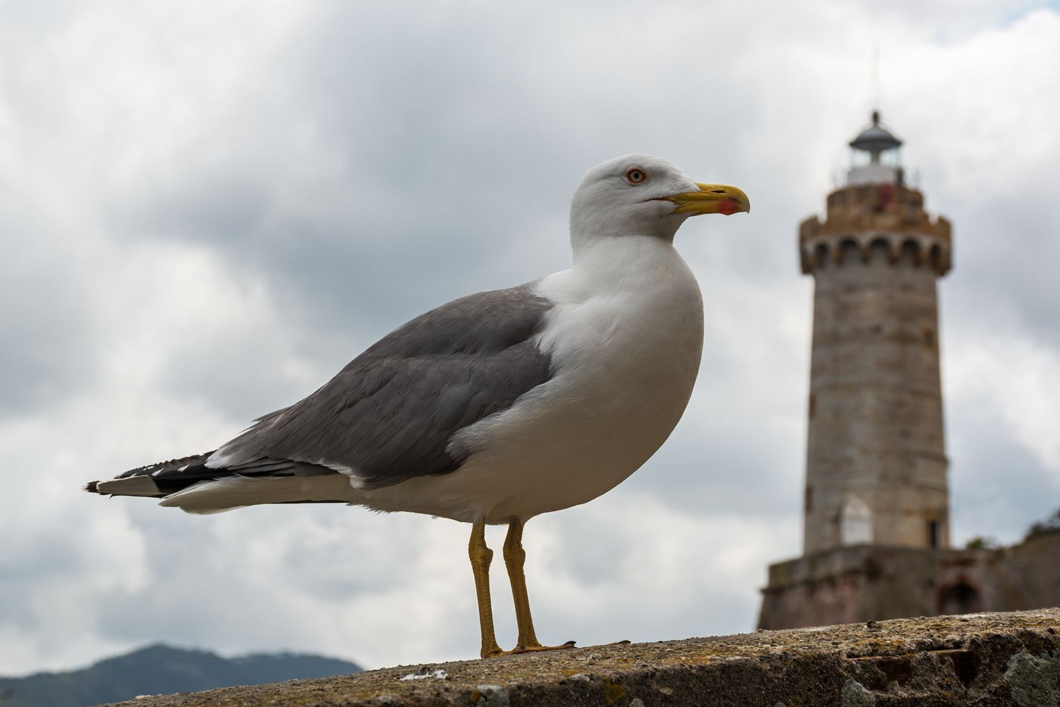 Il guardiano del faro