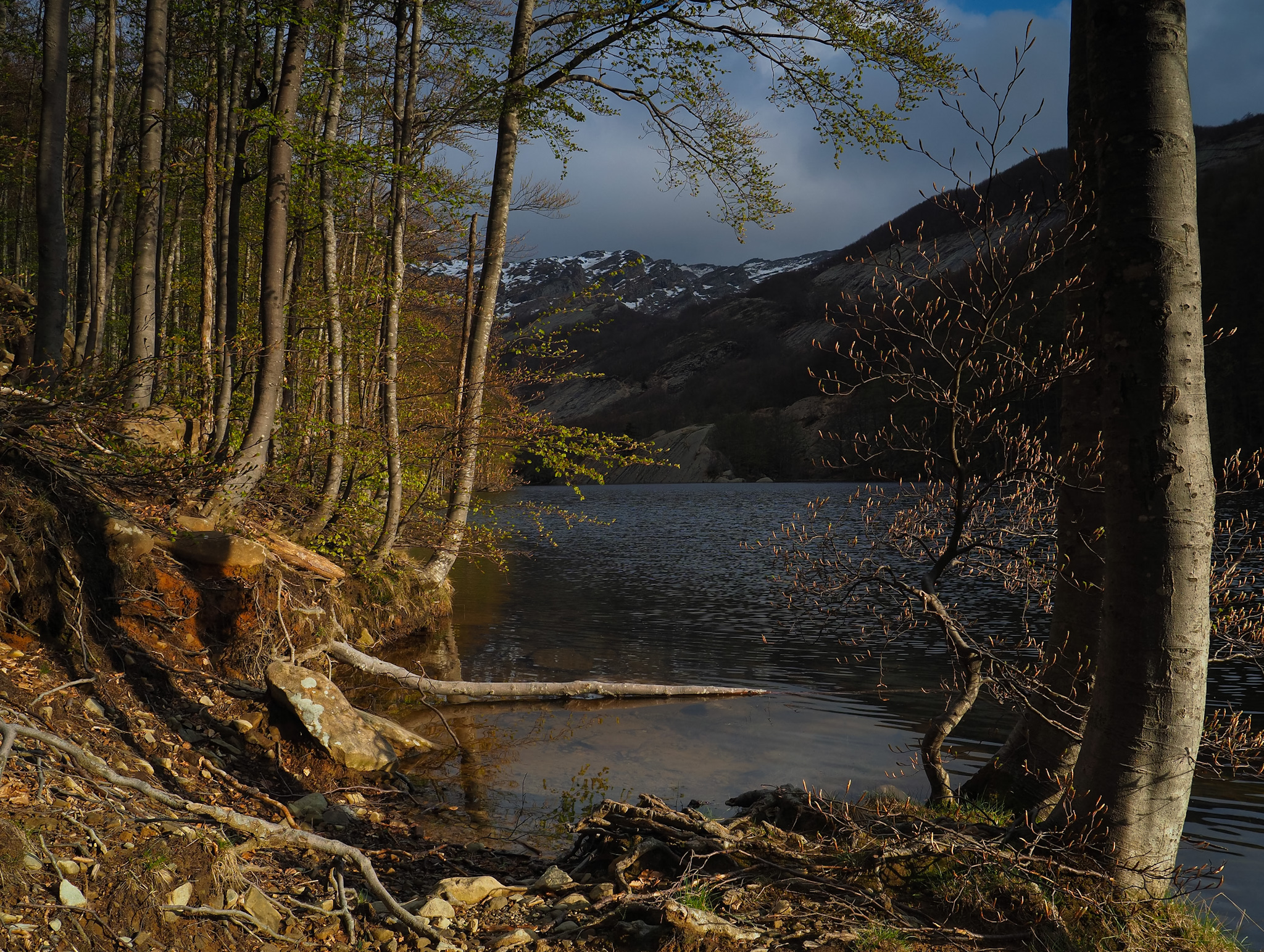 Spring to the Lagoni