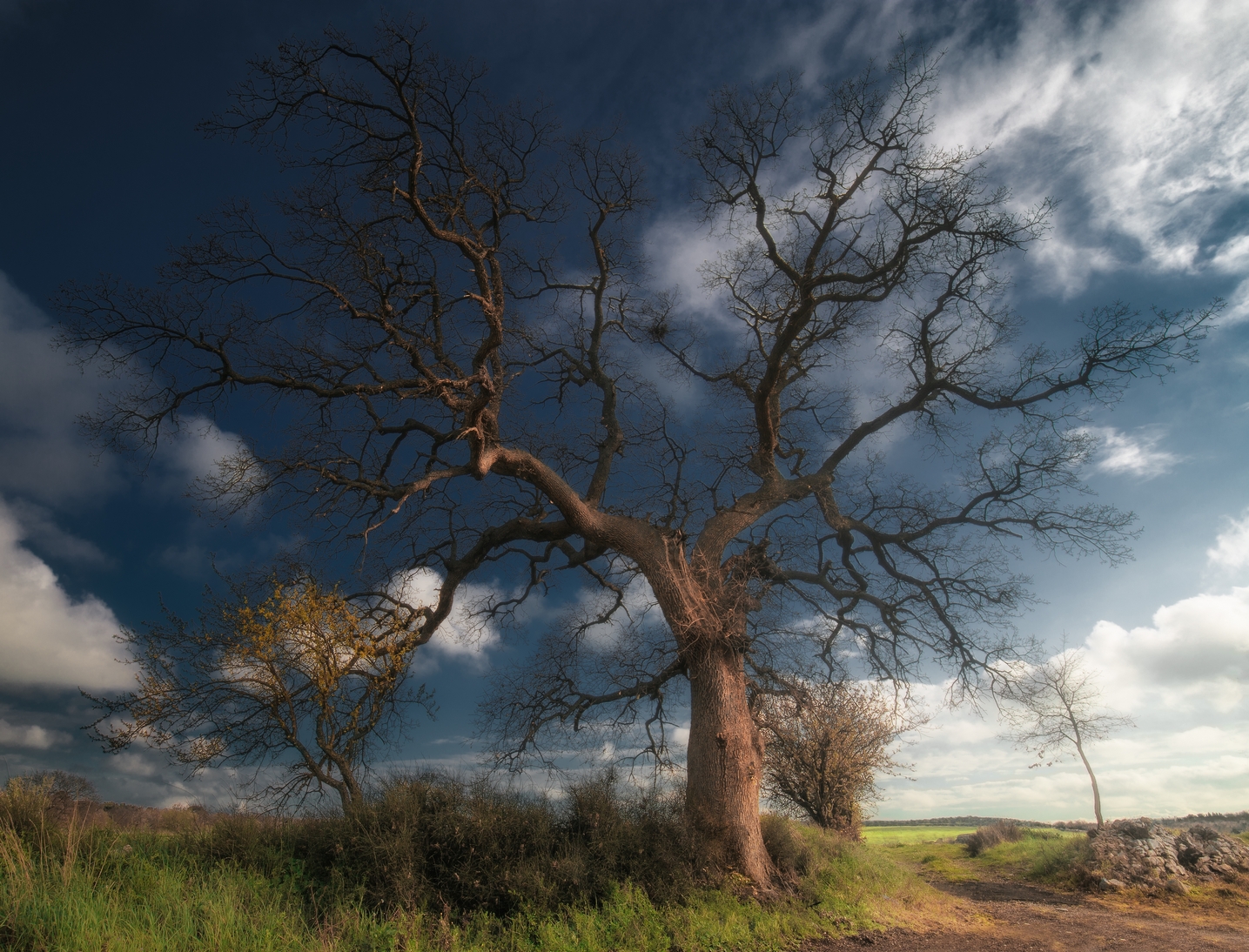 Aspettando tempi migliori