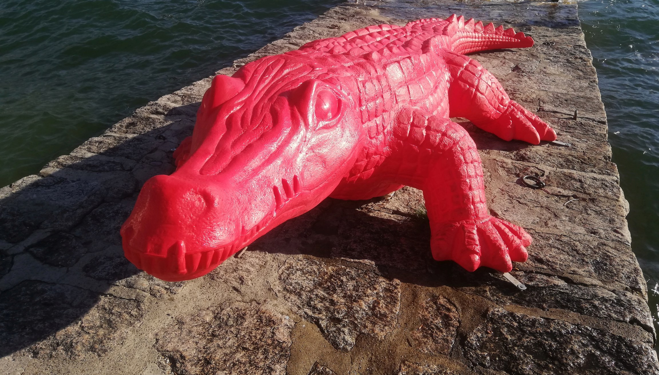 Juzzini where are you? I'm hungry!