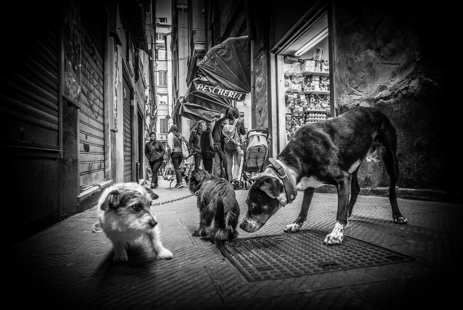 What are your intentions?