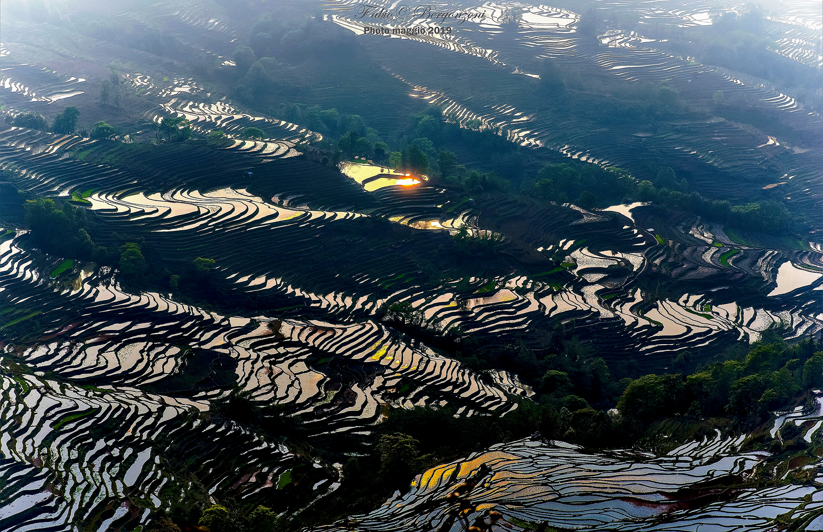 Golden drops in the valley