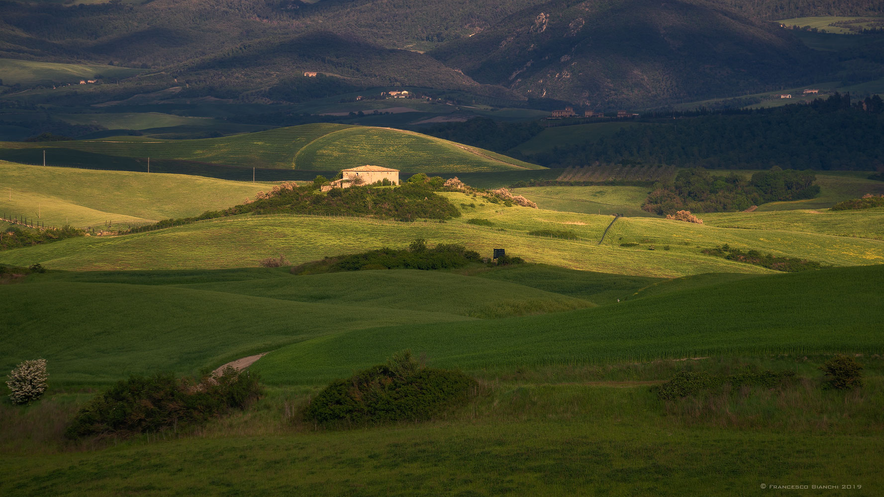 Campagna di Laiatico