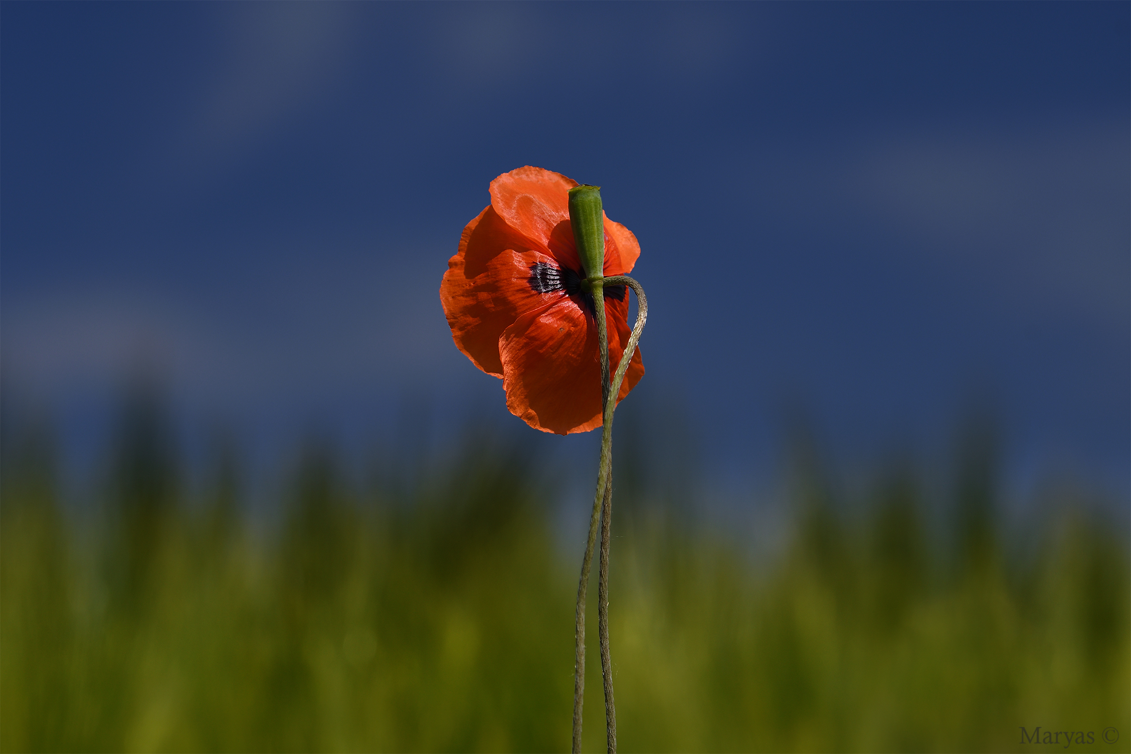 L'abbraccio infinito