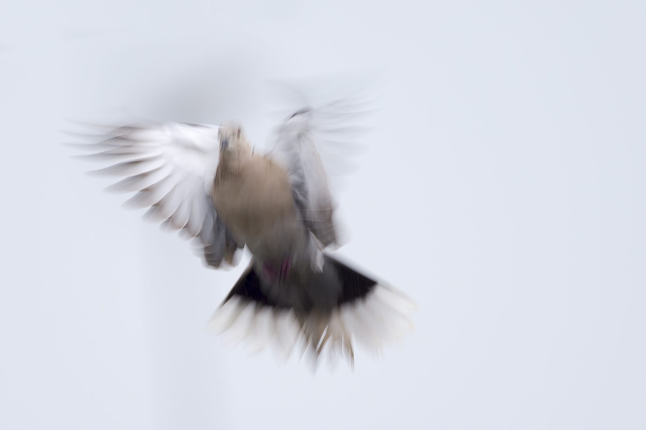 Shot on the fly.... Without setting the machine.