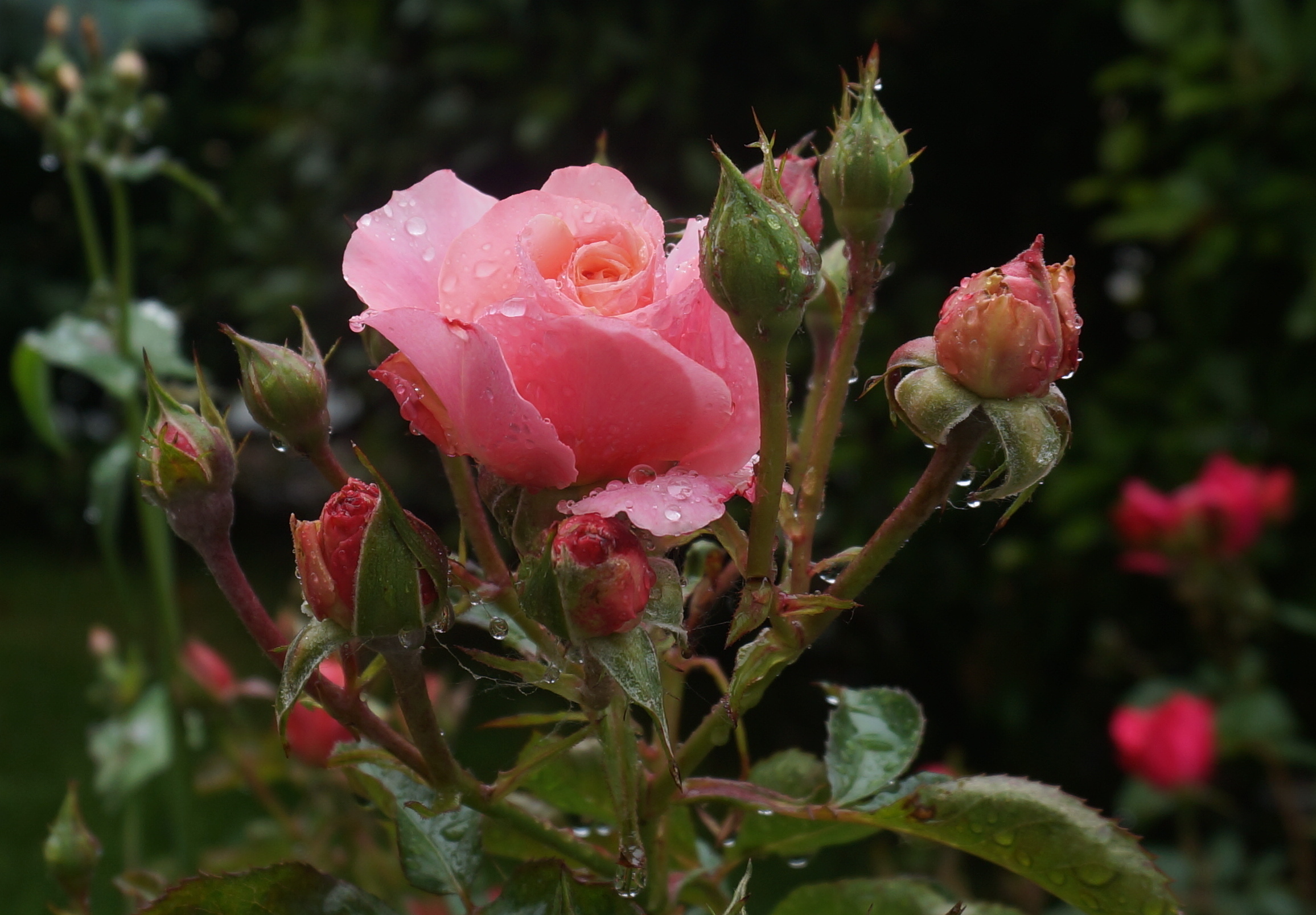 18/5/2019 hours 9.27