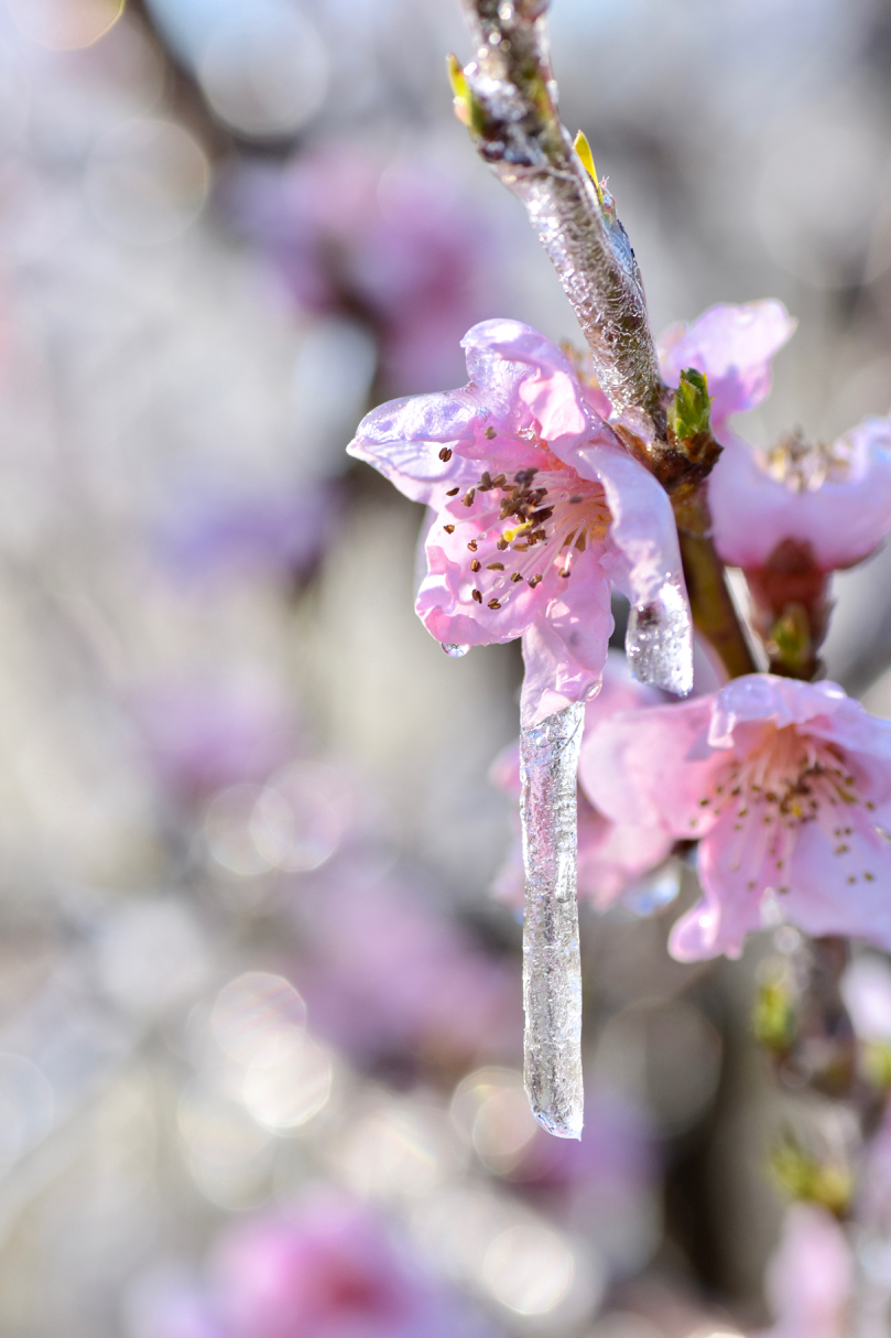 Primavera 2019 un po fresco