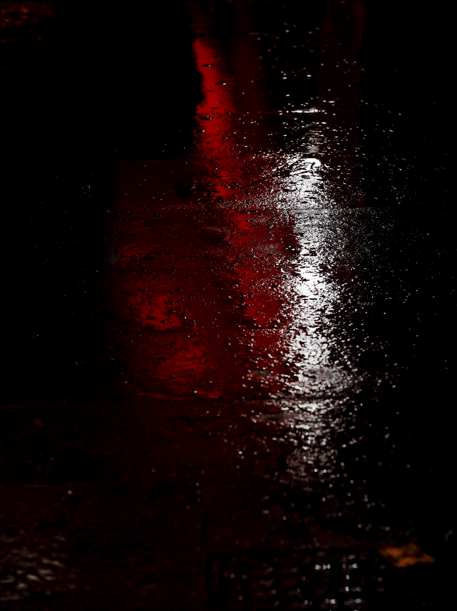 Profondo rosso (mercato  del  pesce a  Chioggia)