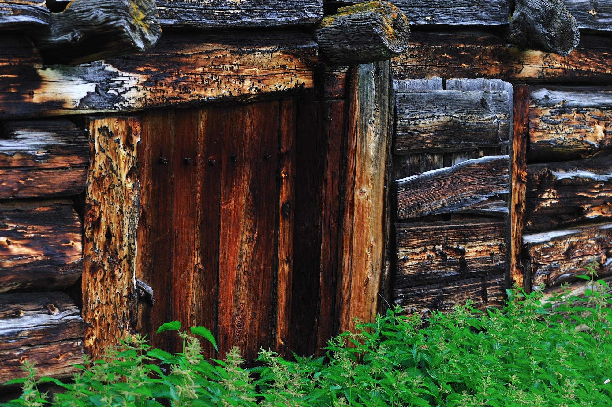 particolari montani...