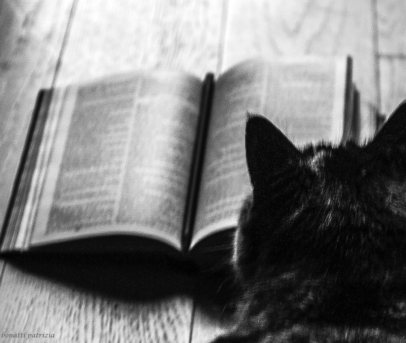 Reading the Cat in the Boots